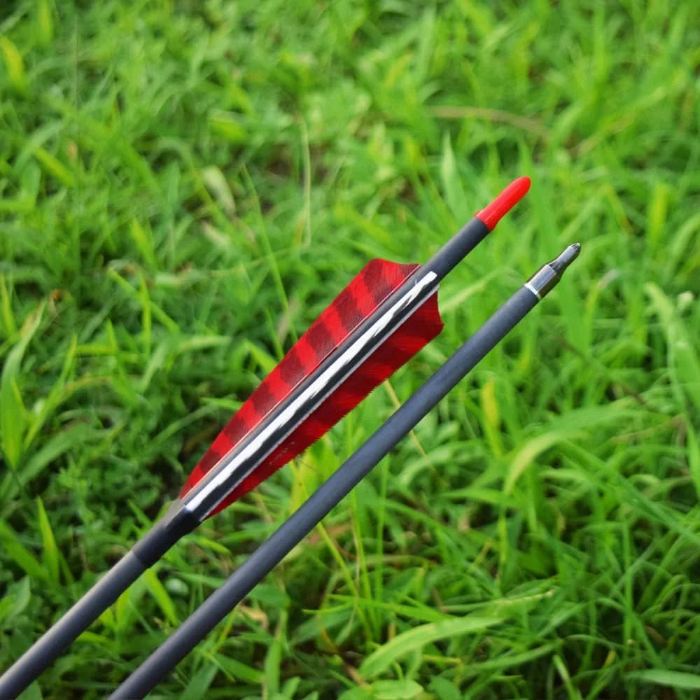 Carbon Turkey Feather Arrows With Screw In Points For Hunters